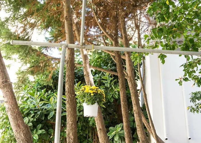 Appartamento Urban *